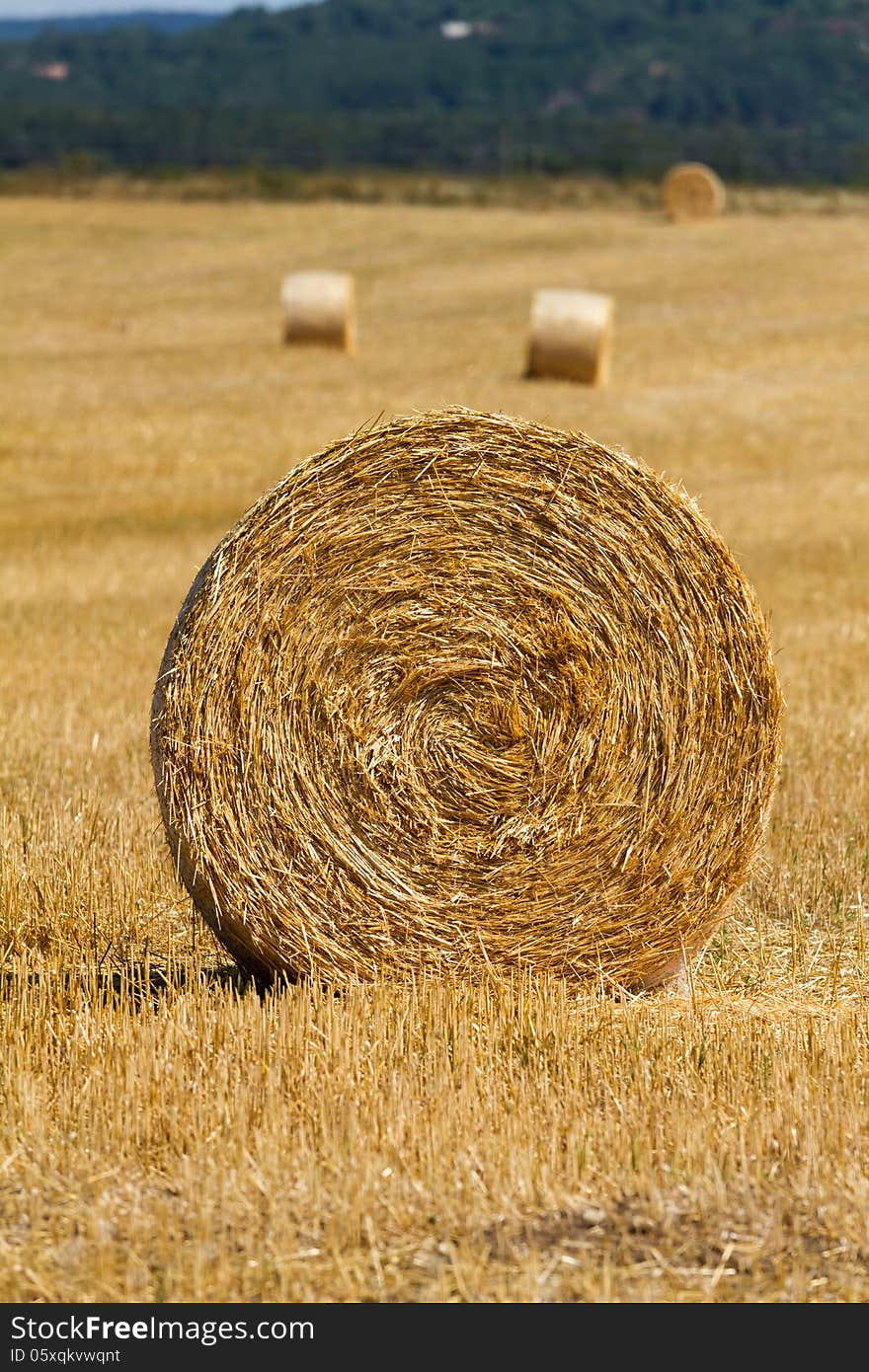 Straw bales in the light of sunset