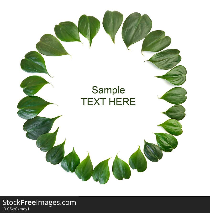 Fresh green heart shape leaves arranged in a circle border on white background. Fresh green heart shape leaves arranged in a circle border on white background