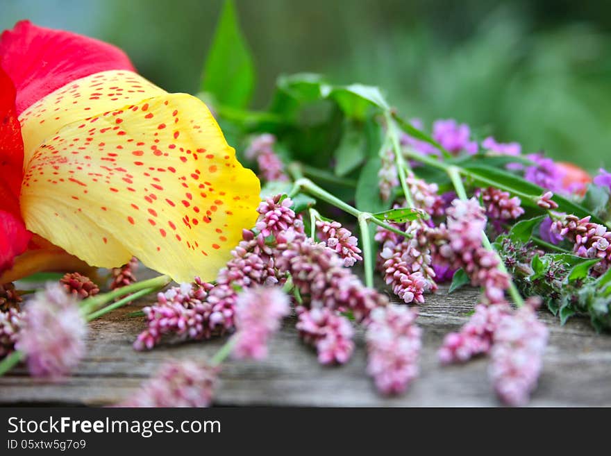 Colorful season flowers