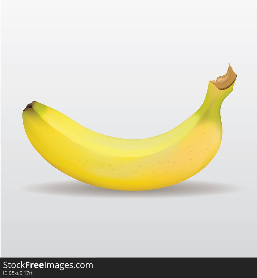 An Illustration Of Realistic Yellow Banana. An Illustration Of Realistic Yellow Banana