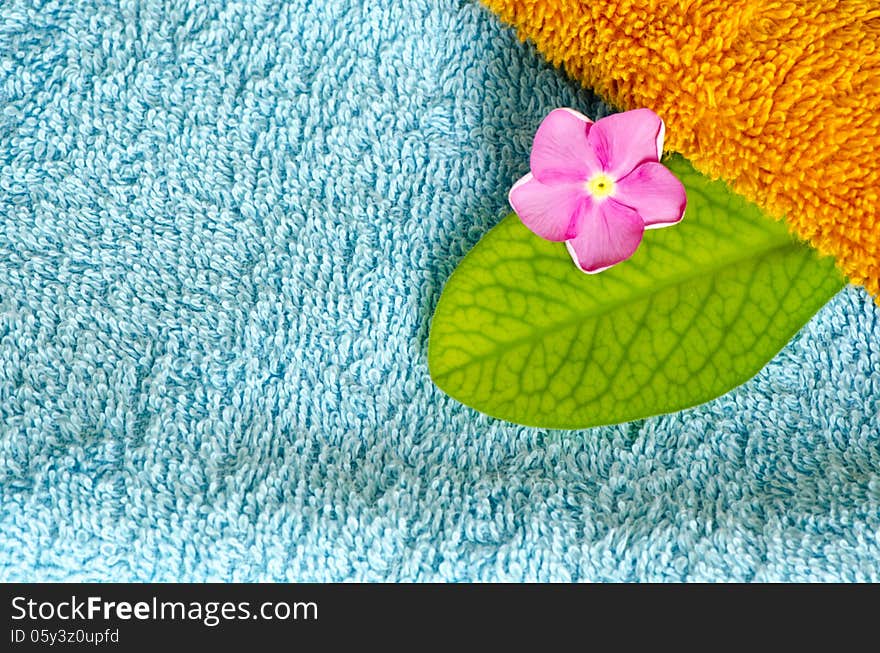 A small pink flower over an orange towel. A small pink flower over an orange towel