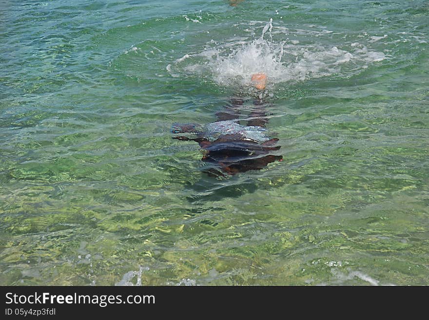 A black boy swimming underwater in the sea