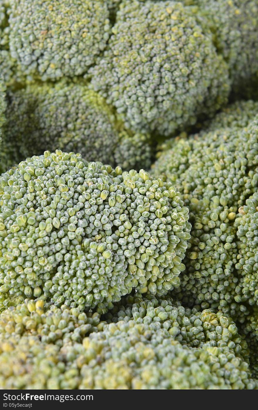 Broccoli background