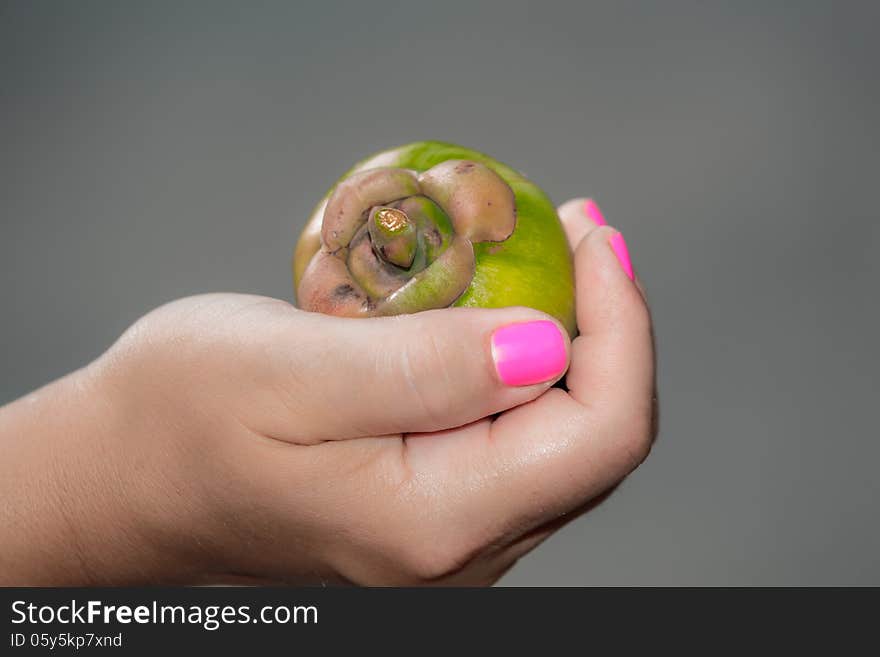 Person holding green exotic tropical fruit in her hand. Person holding green exotic tropical fruit in her hand