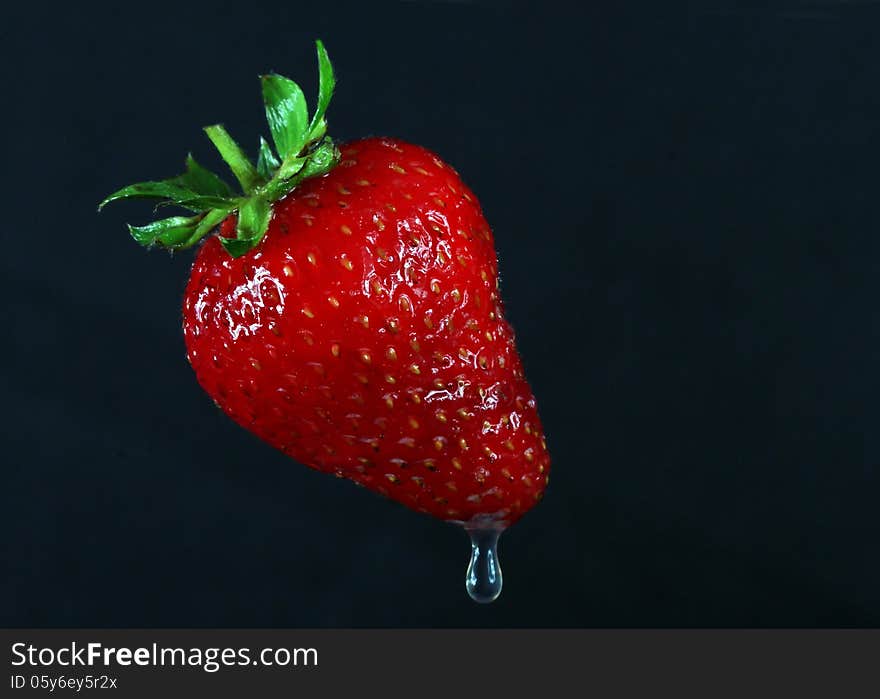 Single Ripe Strawberry With Water Drip Against Black Background. Single Ripe Strawberry With Water Drip Against Black Background