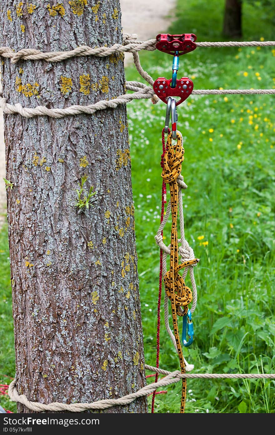 Rope with knots at tree trunk for cable-stayed bridge