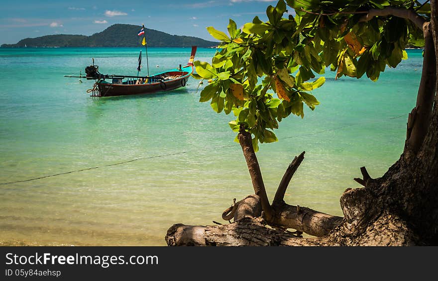 Wooden boat on the sea under sunlight with a tree on the beach