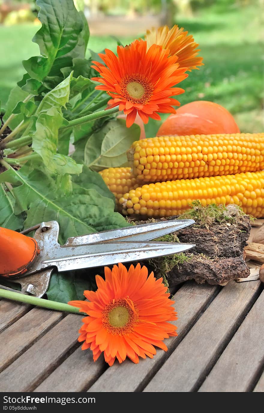 Flowers and vegetables placed on wooden table in the garden after picking. Flowers and vegetables placed on wooden table in the garden after picking