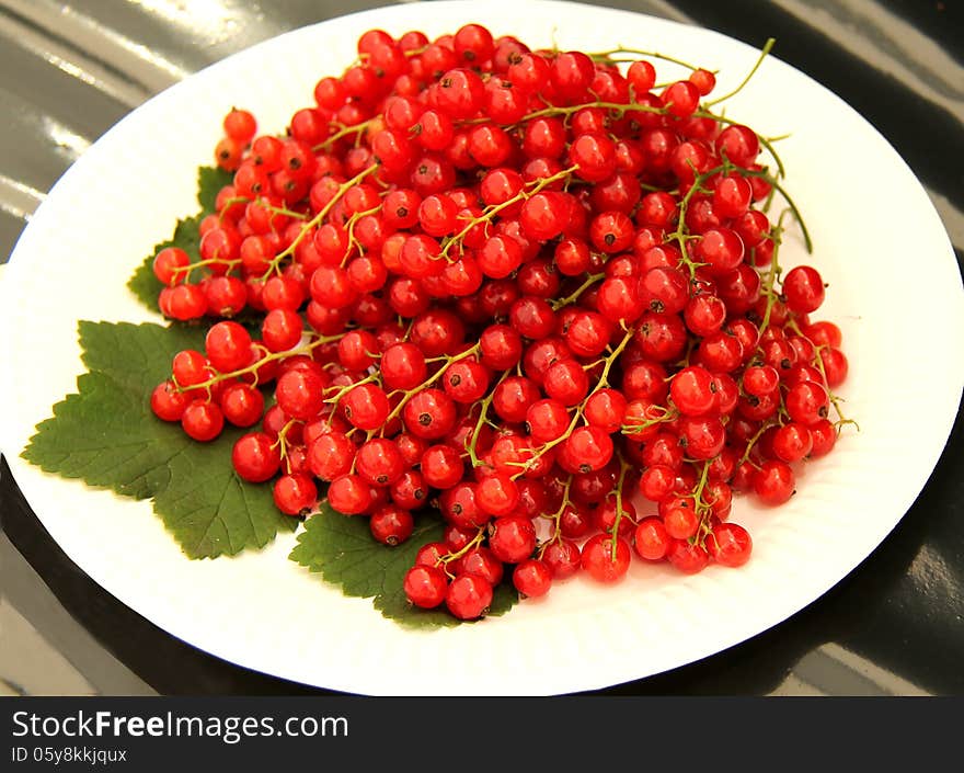 A Display of Redcurrants and Leaves on a Paper Plate. A Display of Redcurrants and Leaves on a Paper Plate.