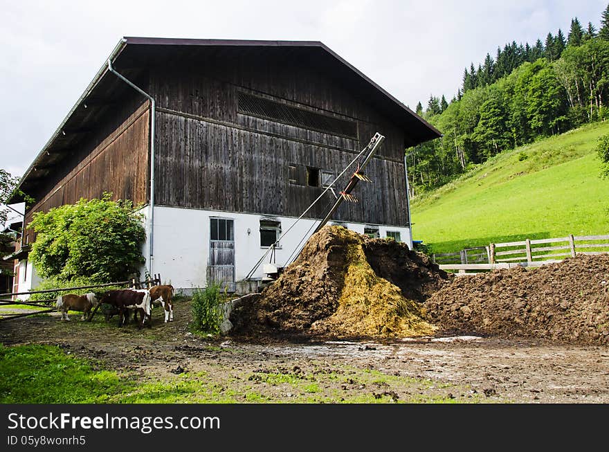 Barn In Austrian Farm