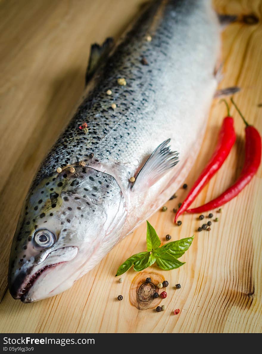 Fresh salmon with spices close up