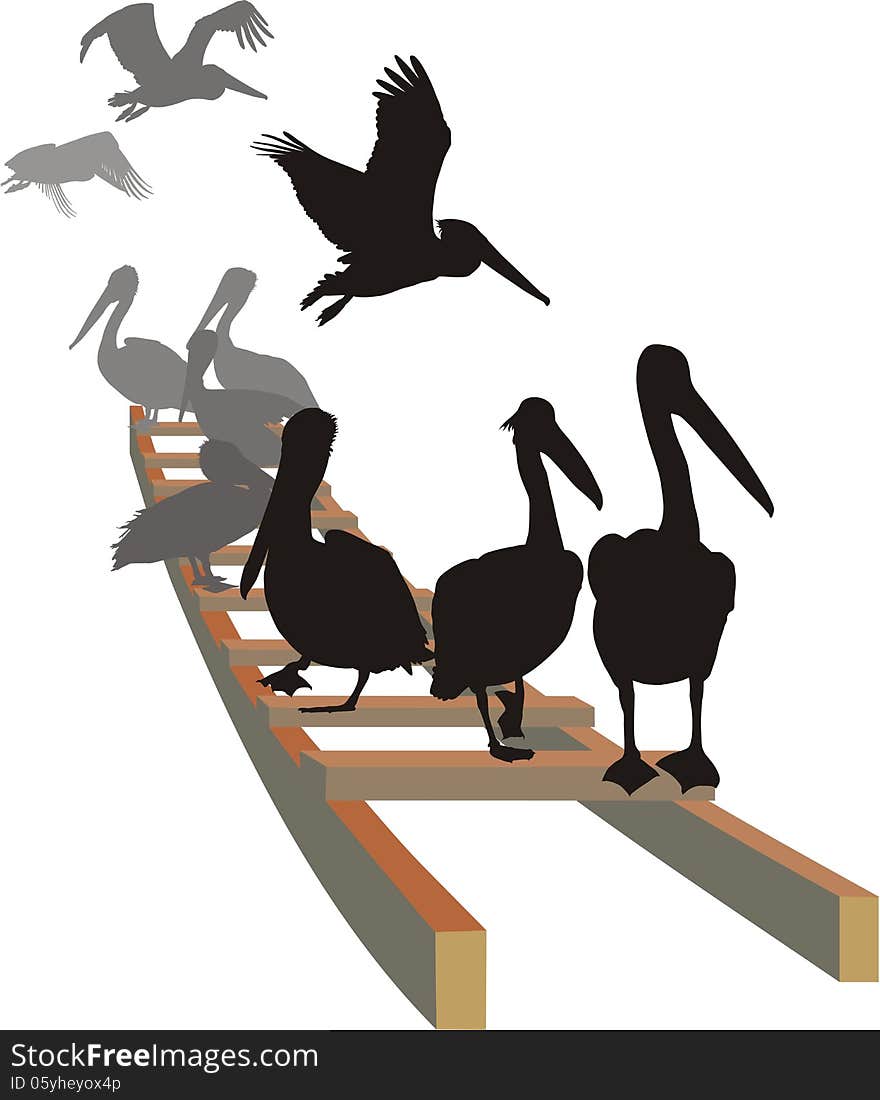 Pelicans On The Ladder