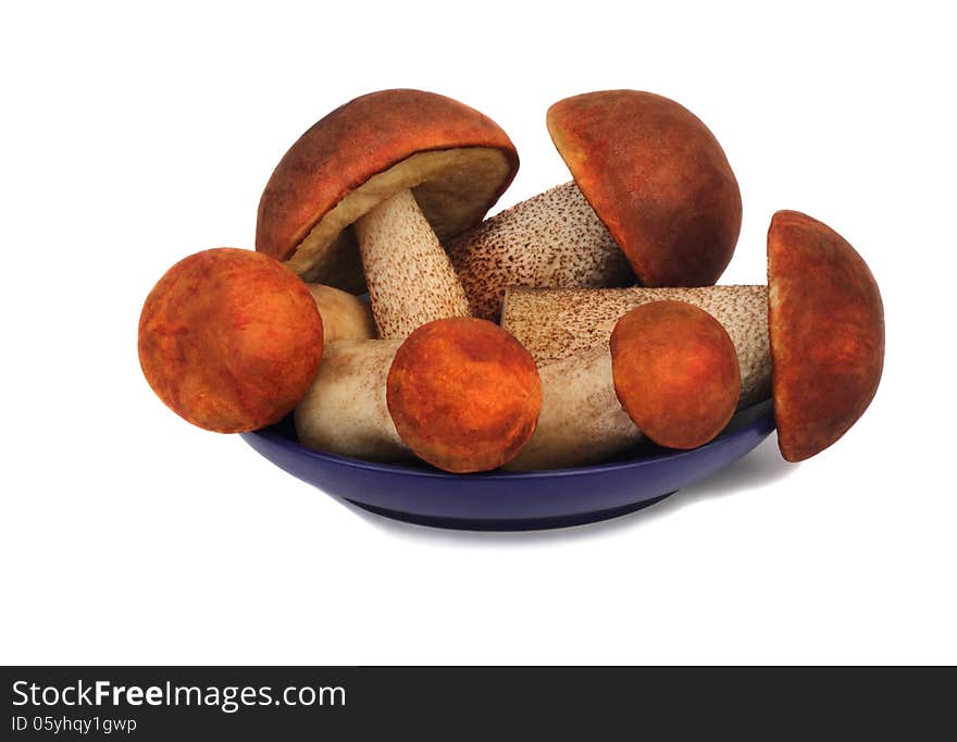 Mushrooms, aspen mushrooms on a blue saucer, photographed on a w