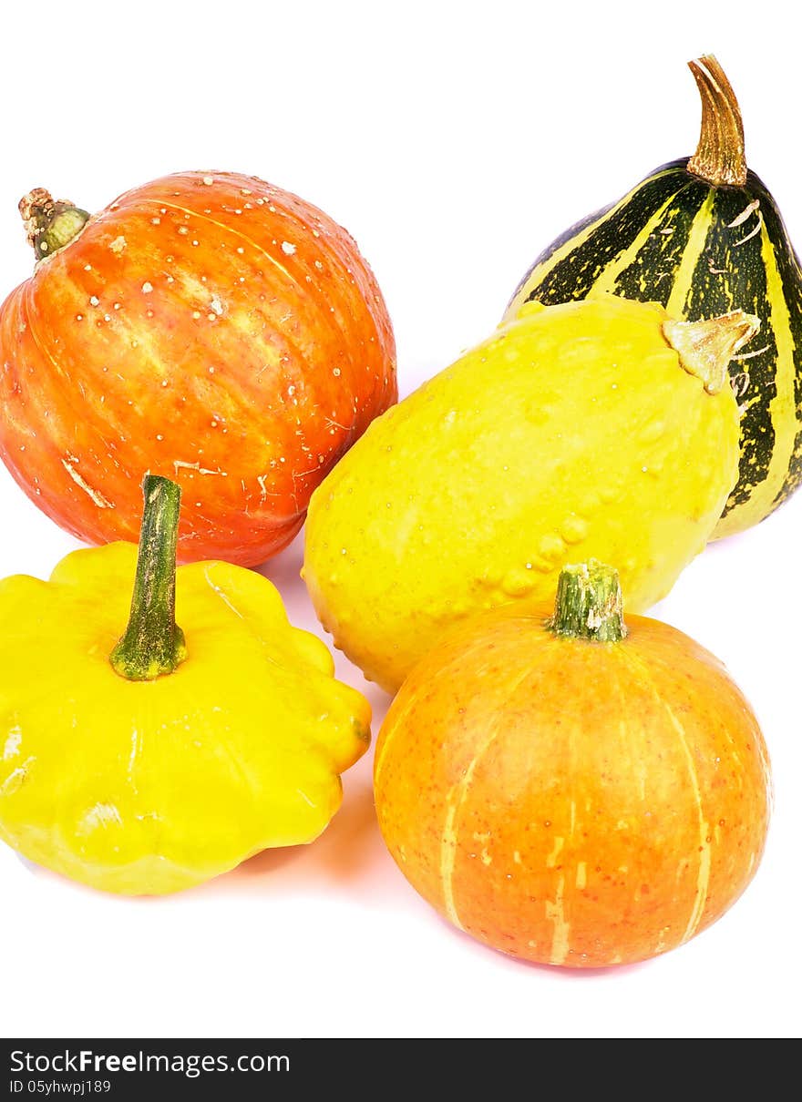 Squash and Pumpkins