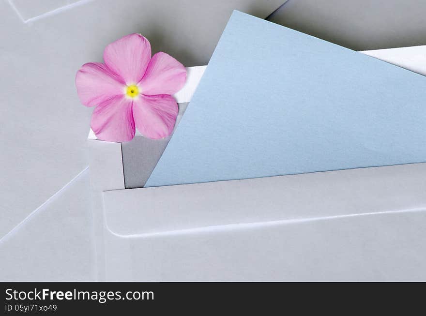 A pink flower over a sticky note having space to fill your text. A pink flower over a sticky note having space to fill your text