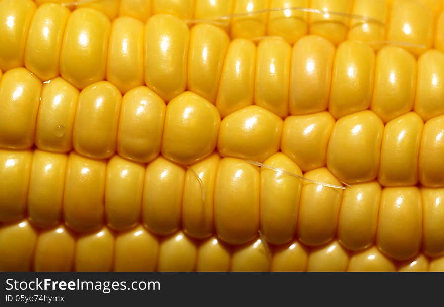 Large image of corn