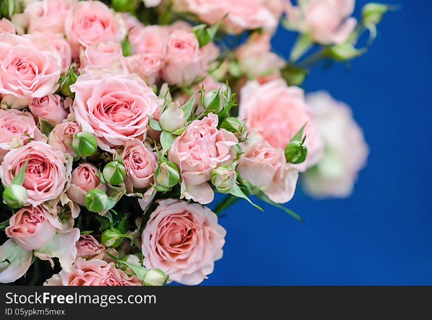 Softly pink roses wedding bouquet, closeup on blue background