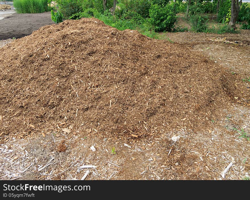 Pile of wood chip for garden mulch. Pile of wood chip for garden mulch