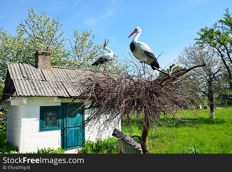 Ukrainian country yard with a crane nest