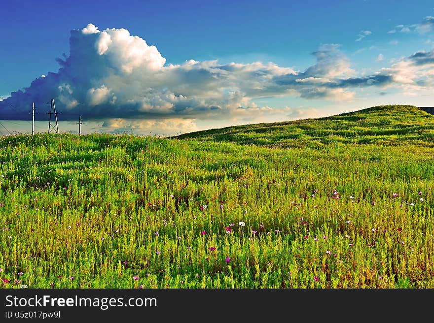 The evening grassland