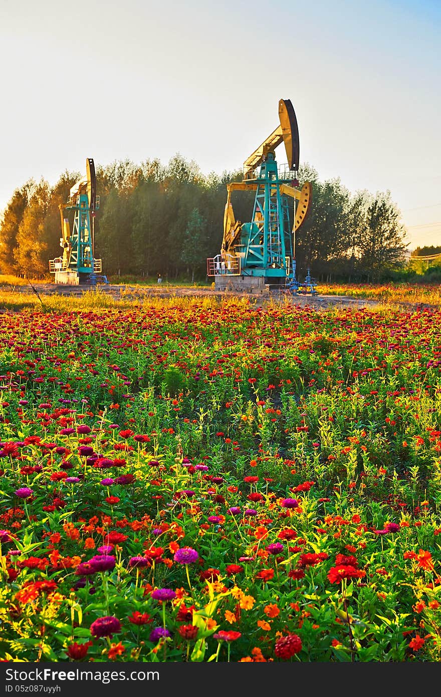 Oil pumping machine on grassland