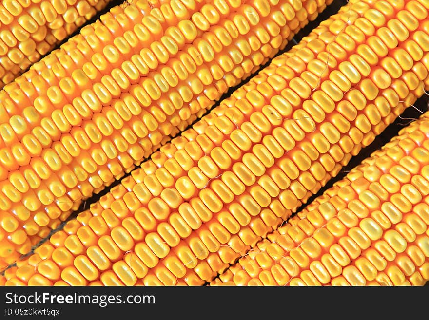 Close up of dry corn. Close up of dry corn