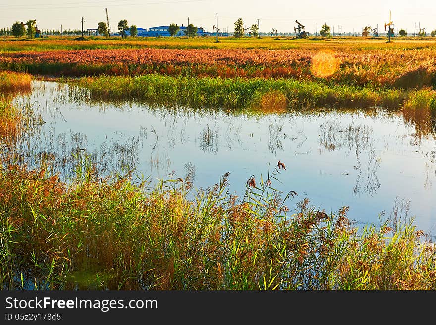 The photo taken in China's heilongjiang province Daqing city, Black fish lake. The photo taken in China's heilongjiang province Daqing city, Black fish lake.