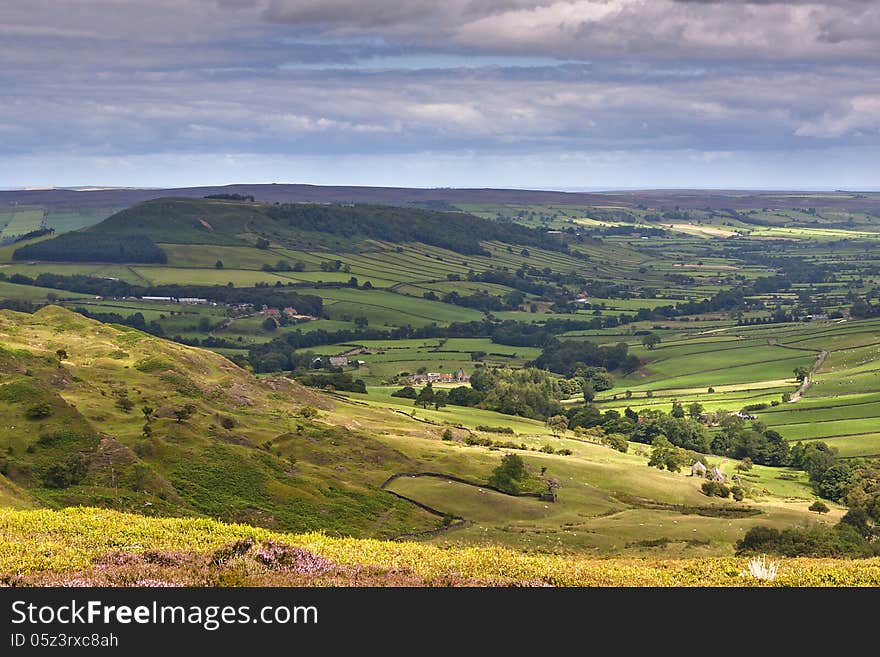 Great Fryup Dale