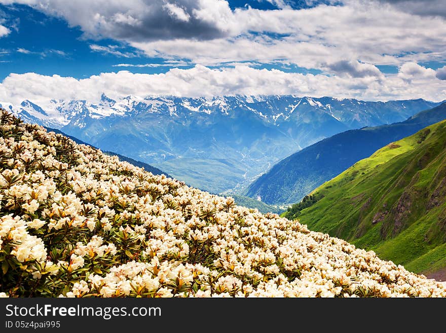 Beautiful view of alpine meadows. Upper Svaneti, Georgia, Europe. Caucasus mountains. Beauty world. Beautiful view of alpine meadows. Upper Svaneti, Georgia, Europe. Caucasus mountains. Beauty world.