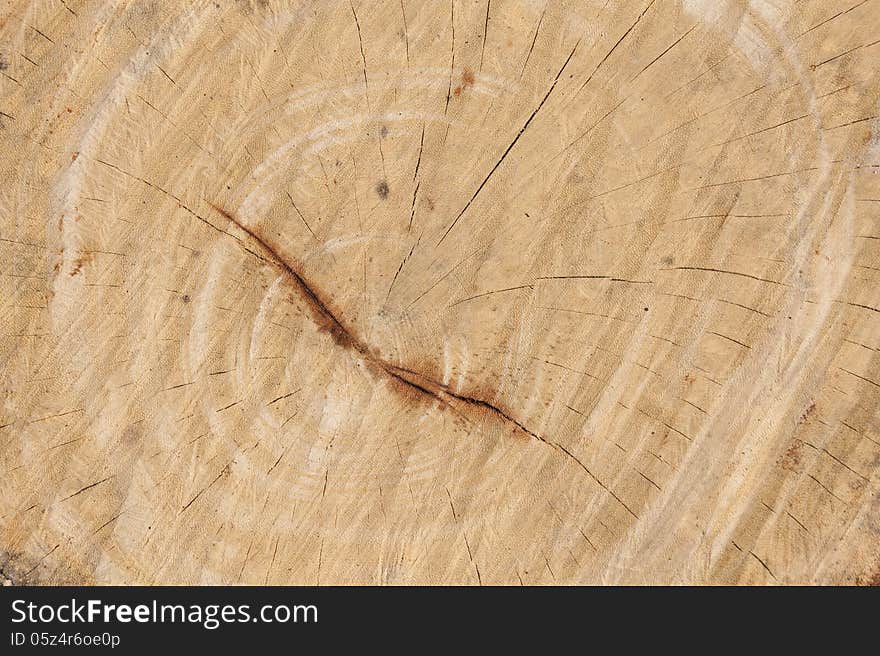 Wood texture circle broken chopping