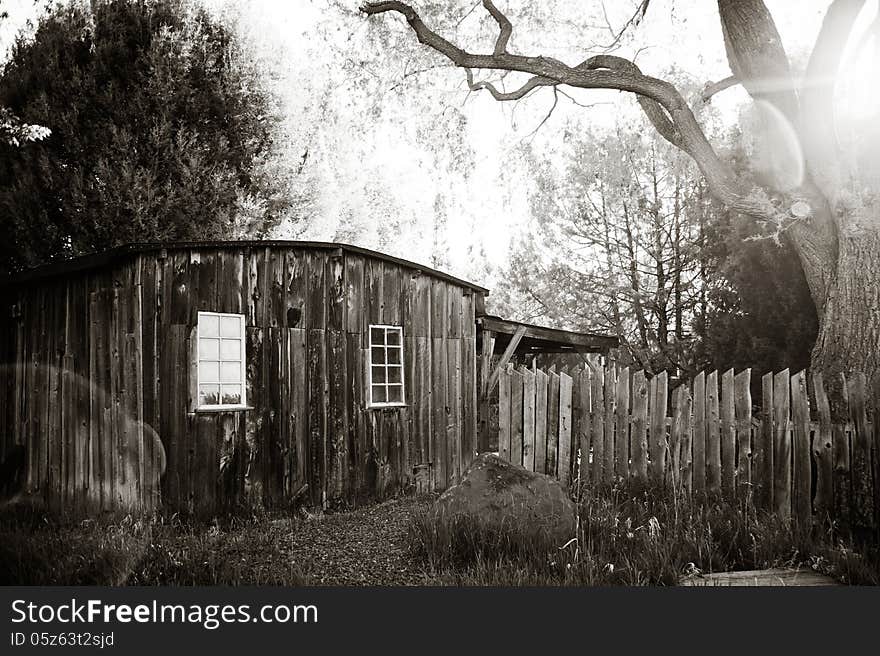 A black and white image of an old wooden outbuilding located on a farm in Colorado. The sun is shining through a large Willow tree creating dramatic sun flare. A black and white image of an old wooden outbuilding located on a farm in Colorado. The sun is shining through a large Willow tree creating dramatic sun flare.