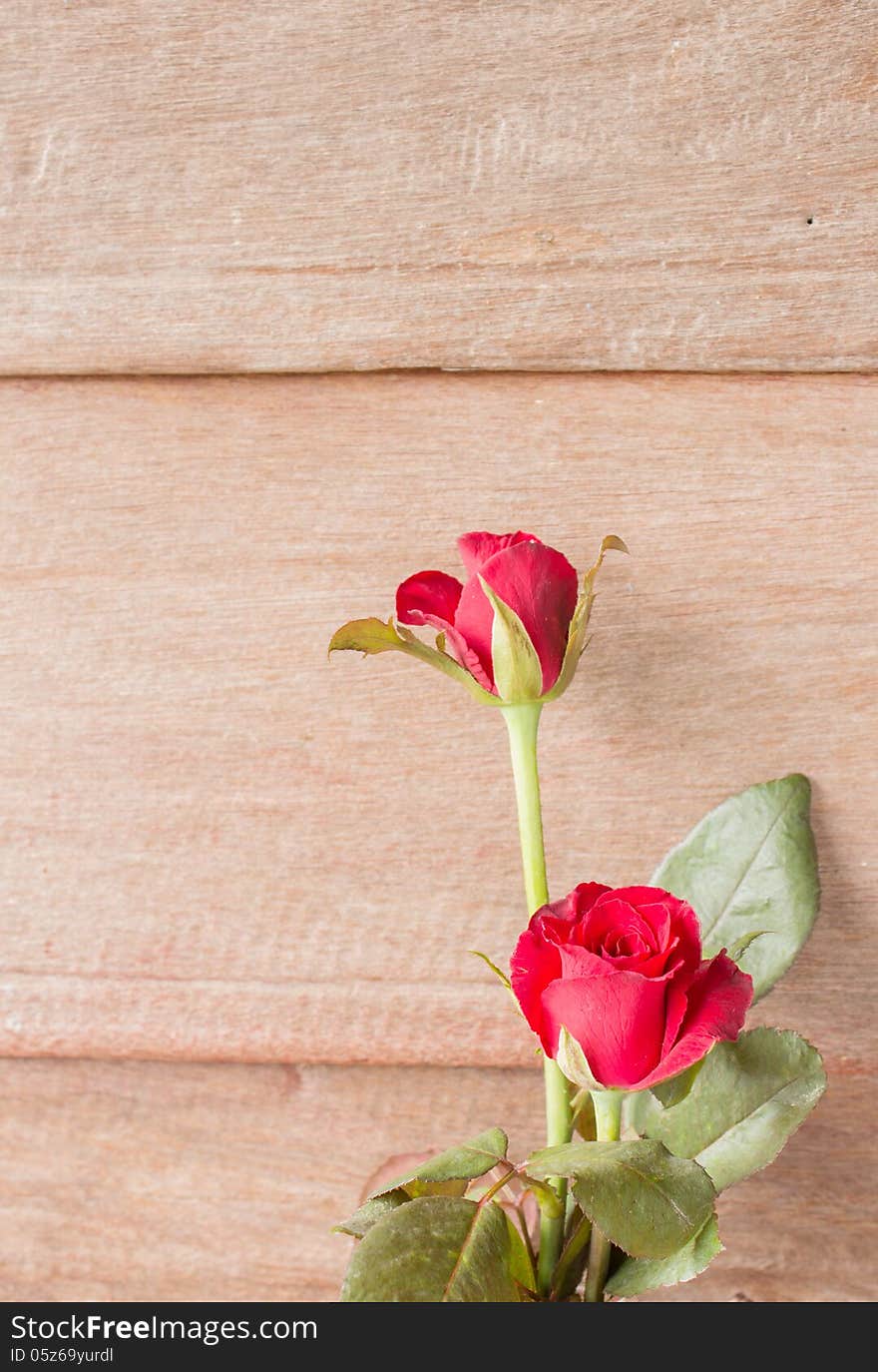 Red roses on old wood background