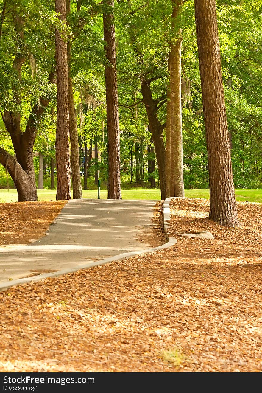 Empty cart path in a golf course