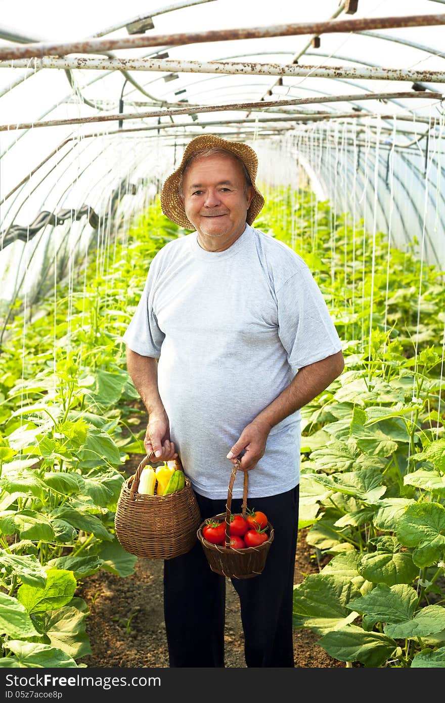 elderly man vegetable garden