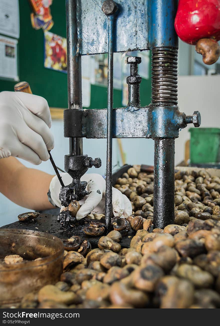 Cashew nut cracking with metal hand presser