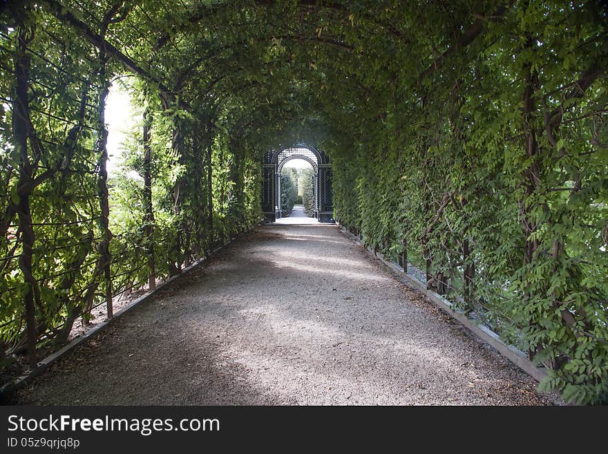 Green park way in the city. Green park way in the city