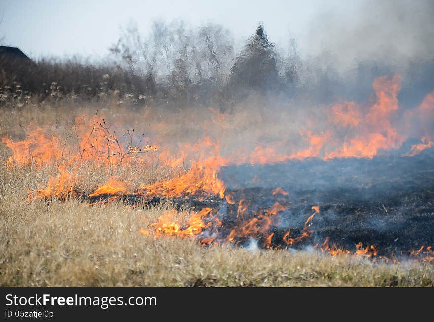 Fire on the field