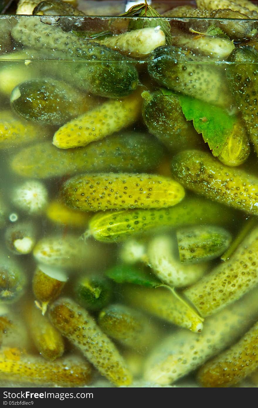 Salted tasty green cucumbers in glass and water. Salted tasty green cucumbers in glass and water