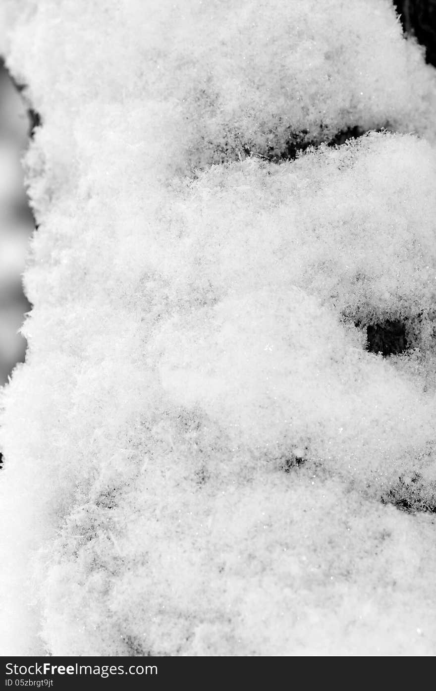 Background of snow on the trunk of the tree