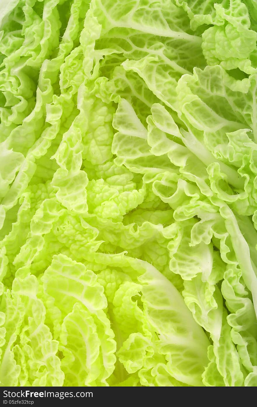 Close up of chenese cabbage