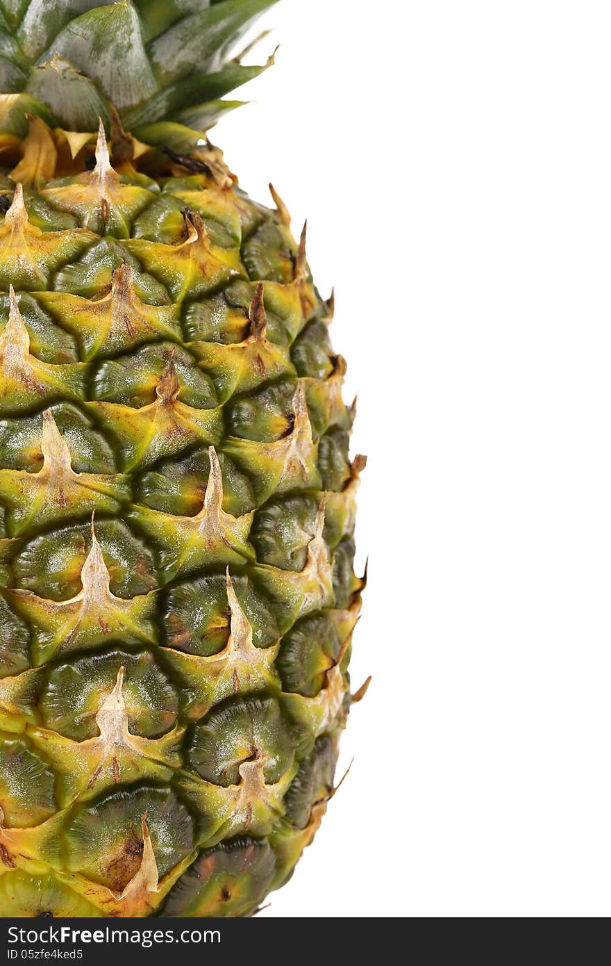 Pineapple is located half of a white background