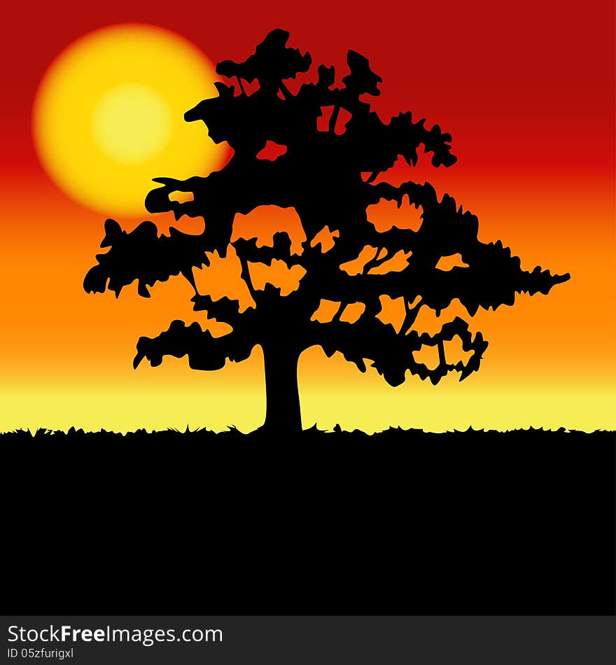 Sunset landscape with tree silhouette. Vector