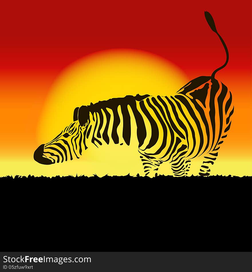 Illustration of zebra silhouette at sunset, vector illustration