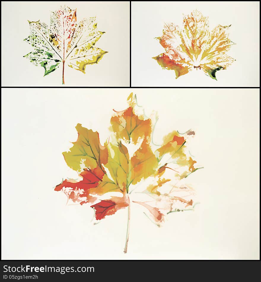 Maple leaf painted in watercolor