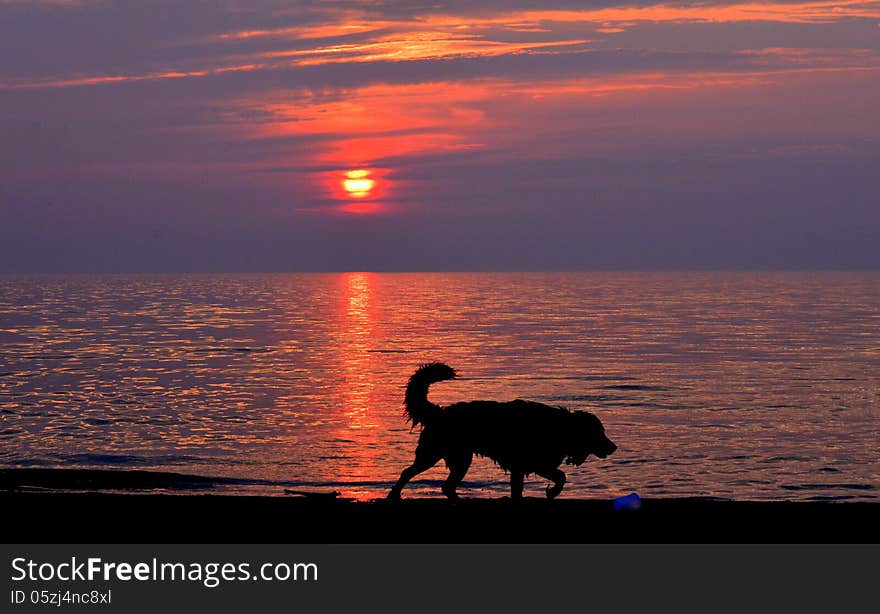 Sunset by the dog beach. Sunset by the dog beach.