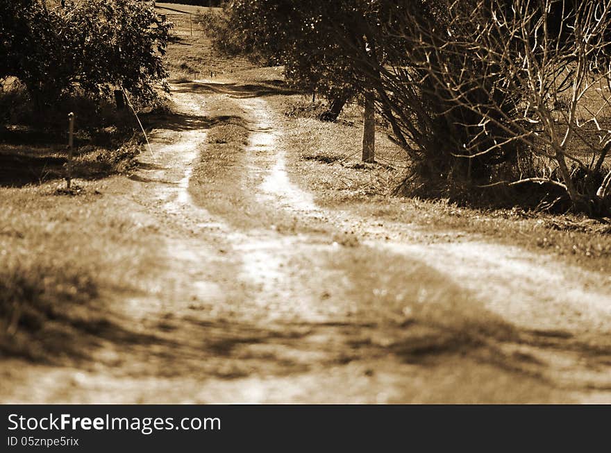 Sepia landscape portrait of a worn, dusty dirt country road, winding its way through the quiet and tranquil rural countryside of a small rural village.
Photograph taken in Kalbar in the Scenic Rim, Queensland, Australia. Sepia landscape portrait of a worn, dusty dirt country road, winding its way through the quiet and tranquil rural countryside of a small rural village.
Photograph taken in Kalbar in the Scenic Rim, Queensland, Australia.