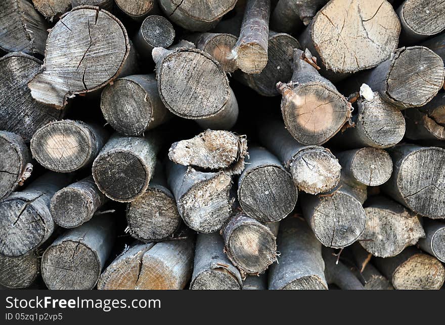 Pile of wood logs ready for winter