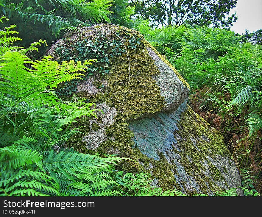 A special stone near Hammershus in Bornholm, Denmark.