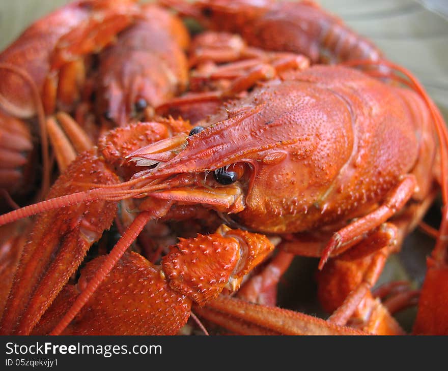 Boiled crawfish lie in the plate closeup. Boiled crawfish lie in the plate closeup