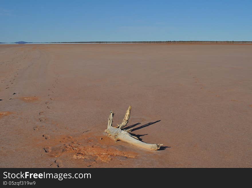 Footprints In The Desert